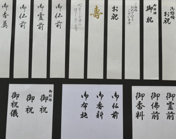 �����p �Z��